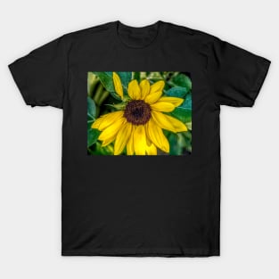 Broken flower pedal illustration T-Shirt
